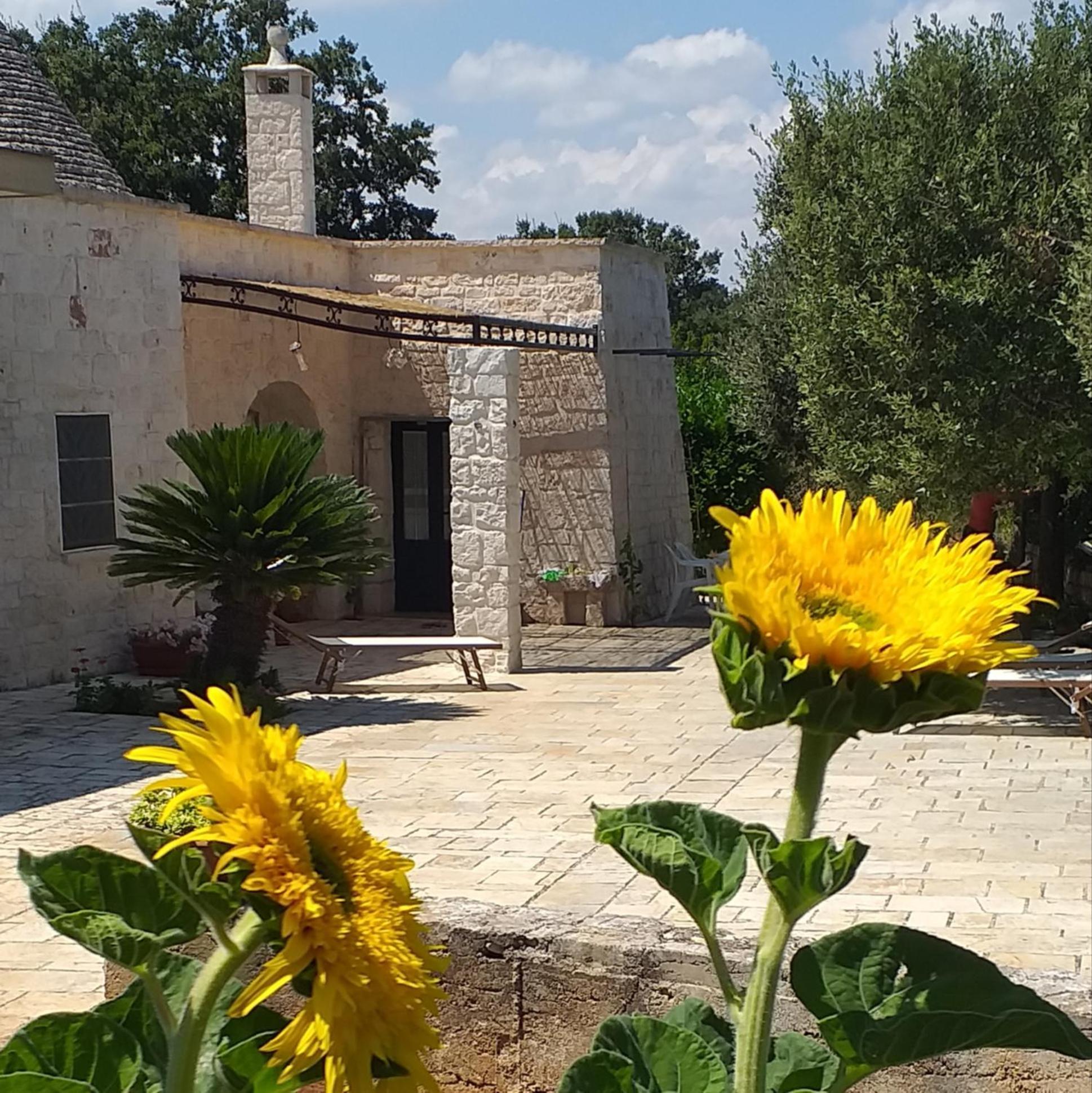 Trulli: La Pace Dei Sensi